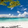 Poster Sapphire Beach, US Virgin Islands