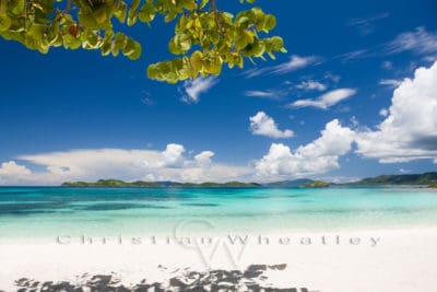 Poster Sapphire Beach, US Virgin Islands