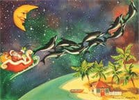 Dolphin Sleigh Christmas Card