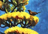 Century Plant Christmas Card