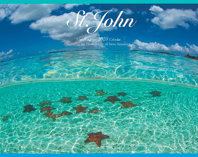 2019-usvi-wall-calendar-vitraders