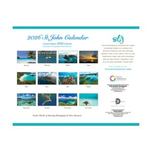 St. John 2026 Wall Calendar (Simonsen)