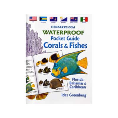 Waterproof Pocket Guide - Corals & Fishes Florida, Bahamas & Caribbean