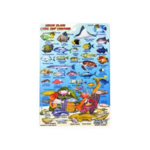 Caribbean Reef Creatures ID Card (Sm/Franko)